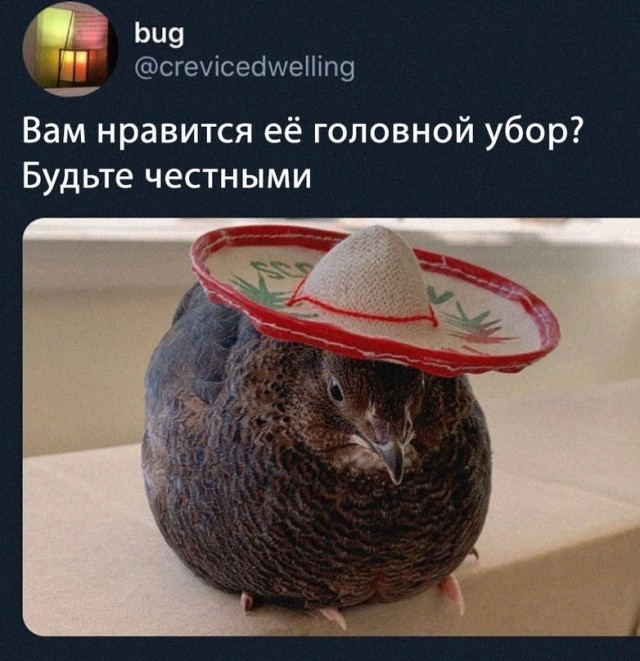 Немного картинок для настроения - 112