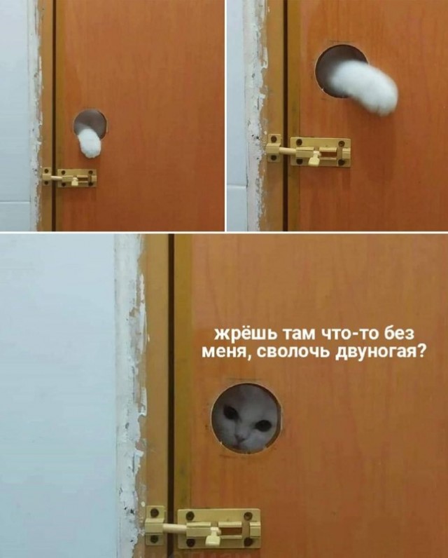 Немного картинок для настроения - 117