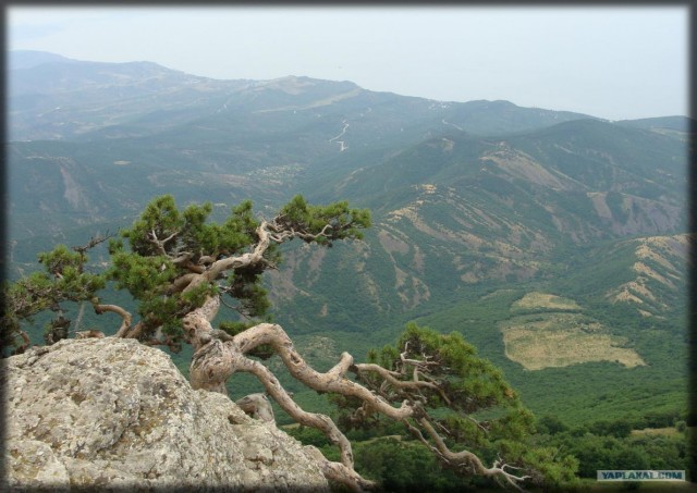 Крым. Южный Демерджи. Вершина.