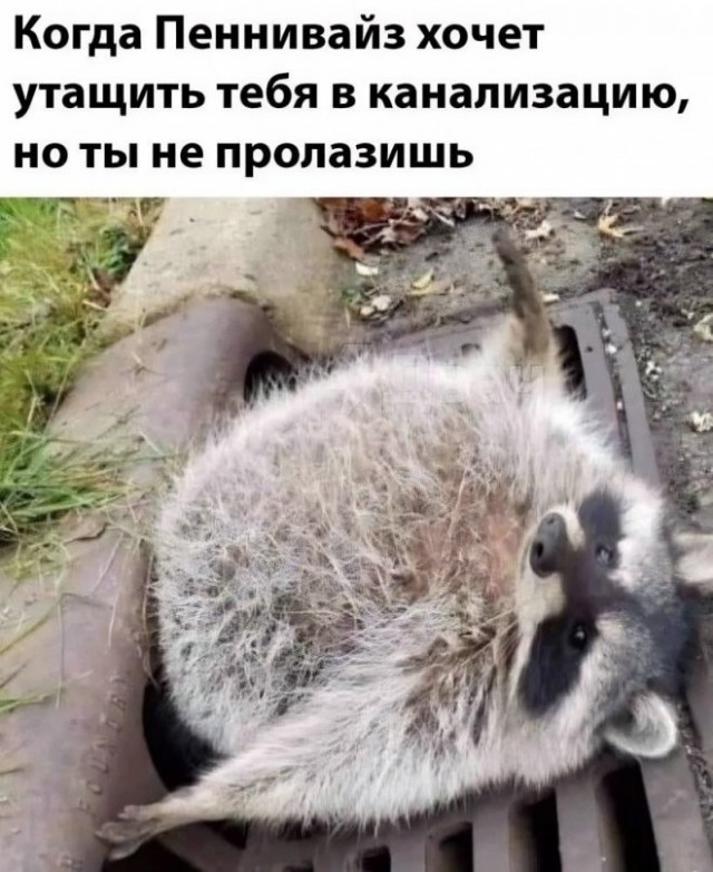 Так себе картинки 12.07.23