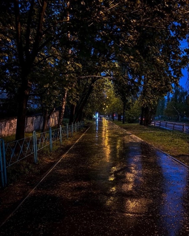 Калейдоскоп картинок