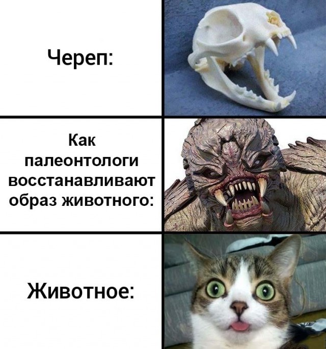 Слава богу, они вымерли! 25 ужасных тварей, которые когда-то населяли Землю