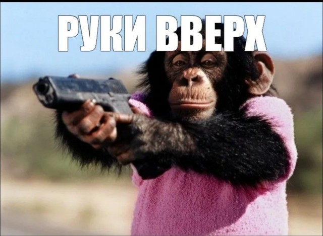 Дай обезьяне гранату.....