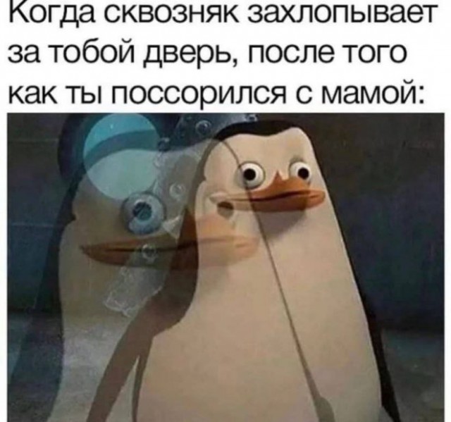 Картиночки, баянчики 10 февраля
