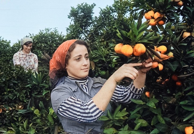 Фотографии из прошлого нашей страны – 137