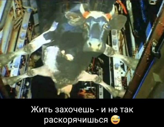 Анекдот дня от министра финансов США Бессента