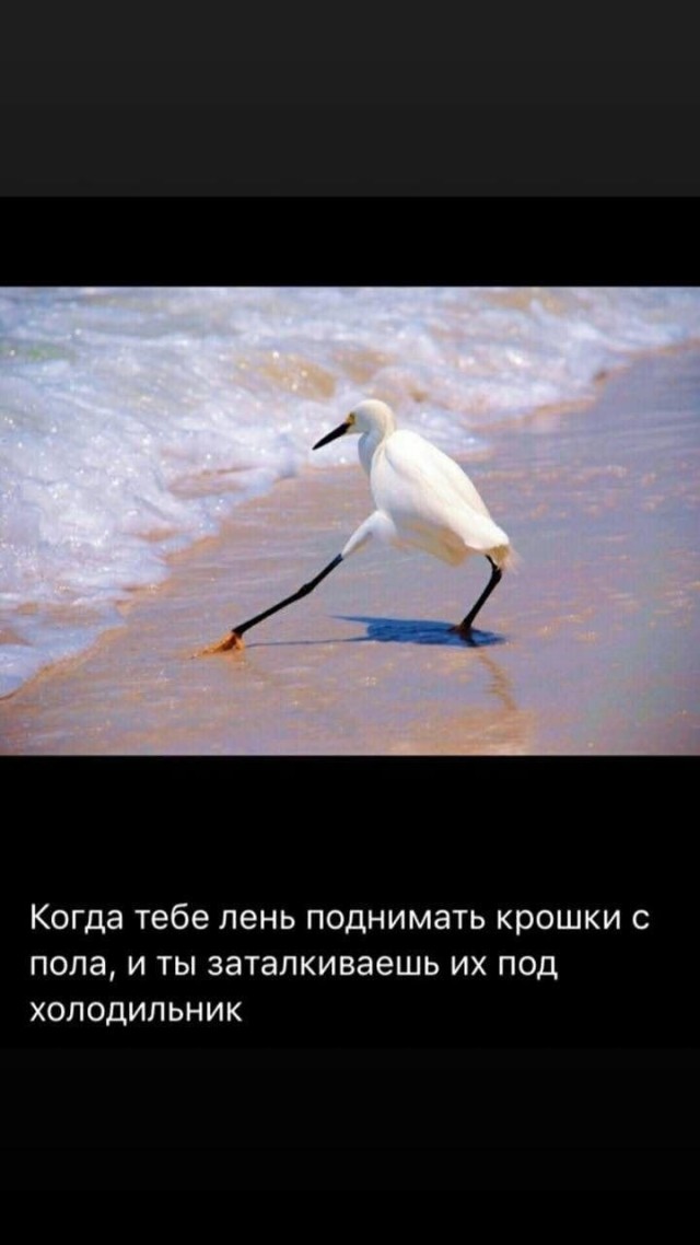 Картинки для деградации 206 (разной степени свежести)