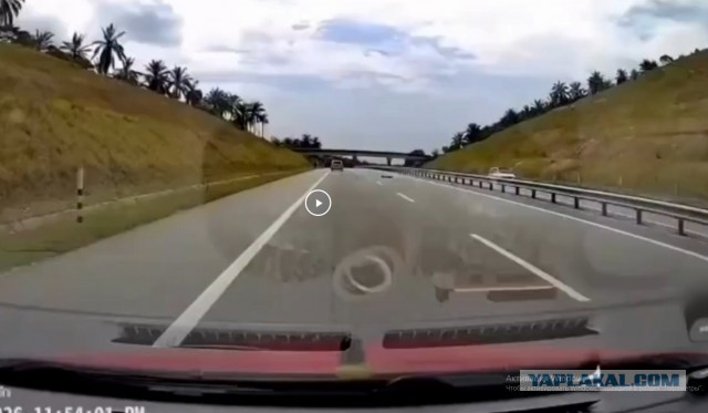 Жесть