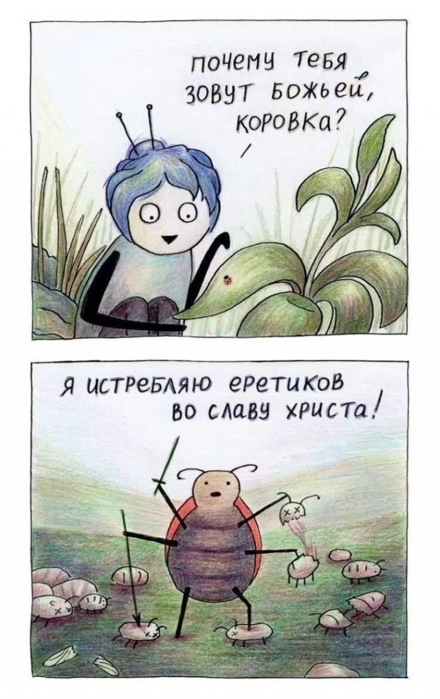 Картинки для деградации 294 (разной степени свежести)