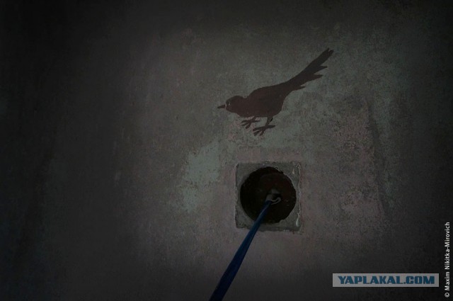 «Радиоактивный» санаторий под Минском.