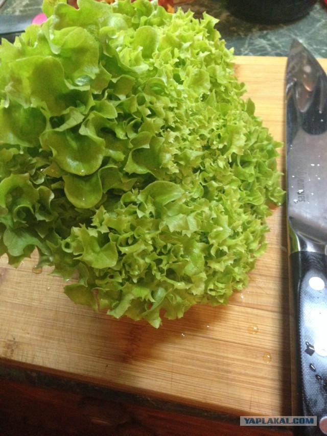 Свинина карри на листьях салата