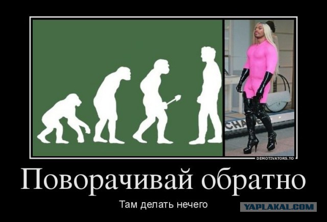10 мифов об эволюциии человека