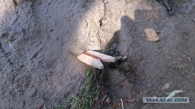 Немного рыбалки под Астраханью