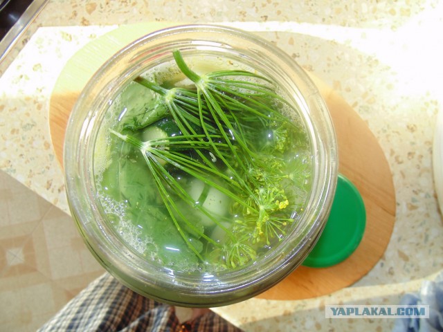 Кулинарная общалка