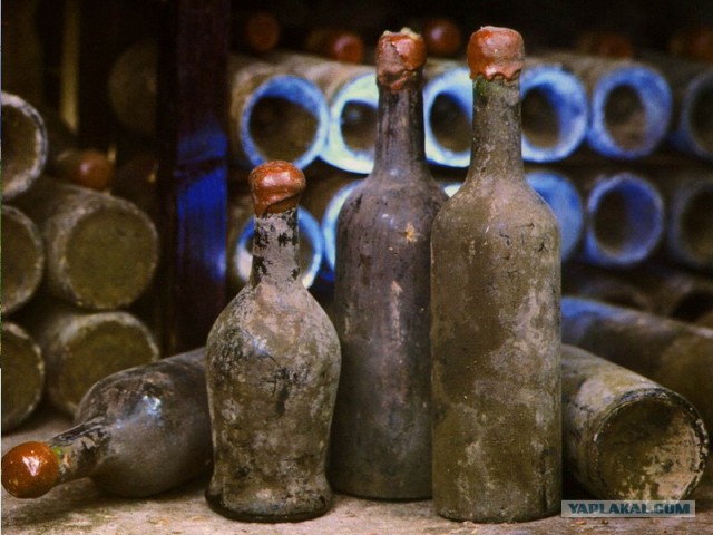 Самая старая в мире бутылка вина урожая 350 г. н.э