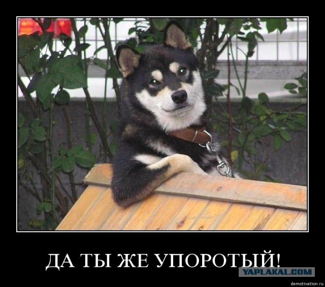 "Дождь" мешает жильцам на Садово-Кудринской