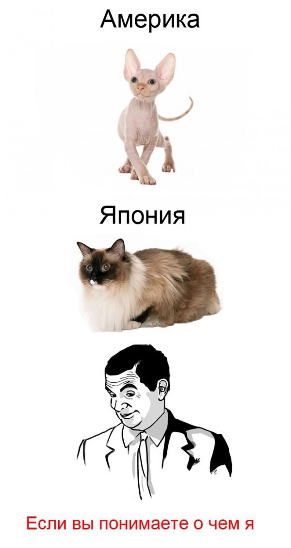 Если вы понимаете о чём я ;)