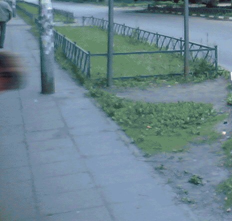 Фотожаба: Пловец