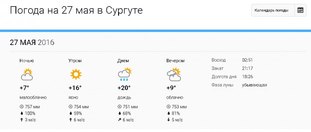 Собака играет с медведем