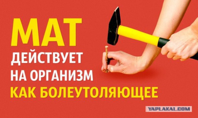 Картинки. 50 шт.