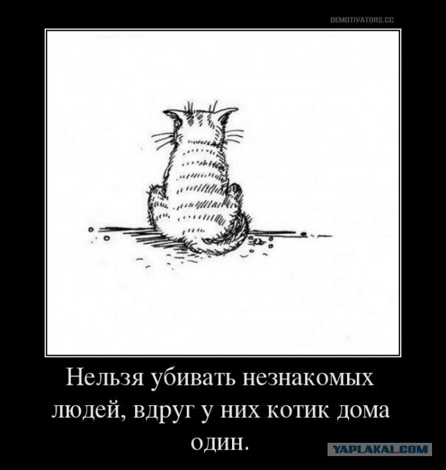 Зачем кот в доме?