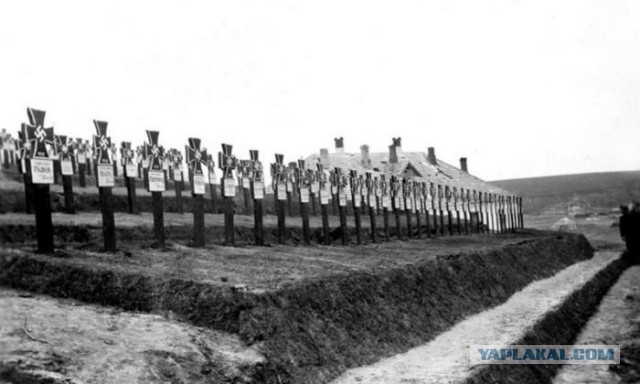1941 год в цвете. Война