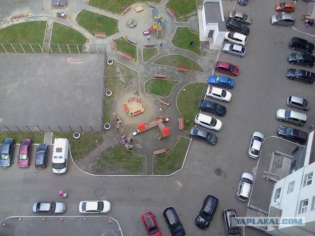 Подборка фотографий