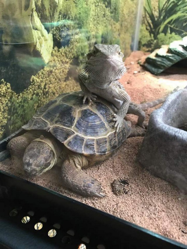 Подборка интересных и веселых картинок