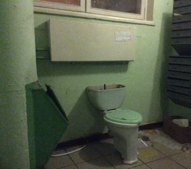 Весёлые картинки