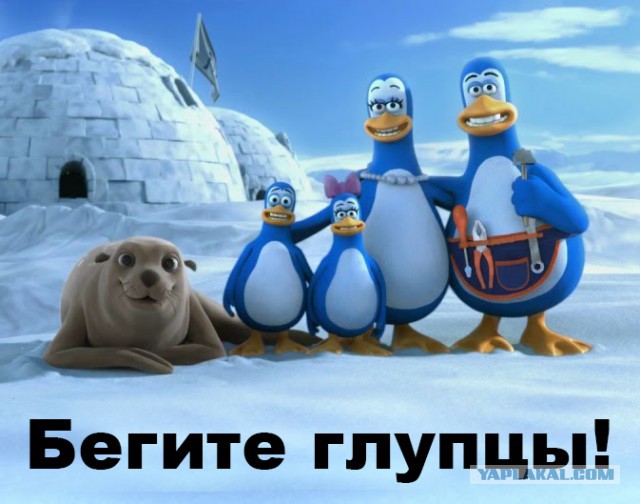 Убийца пингвинов
