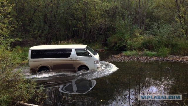 Коппи царя Дальнего Востока.