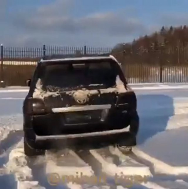 Мужчина и три киски