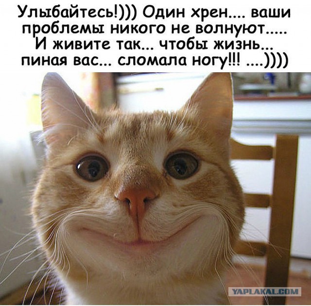 Не потому что дура, а потому что баба