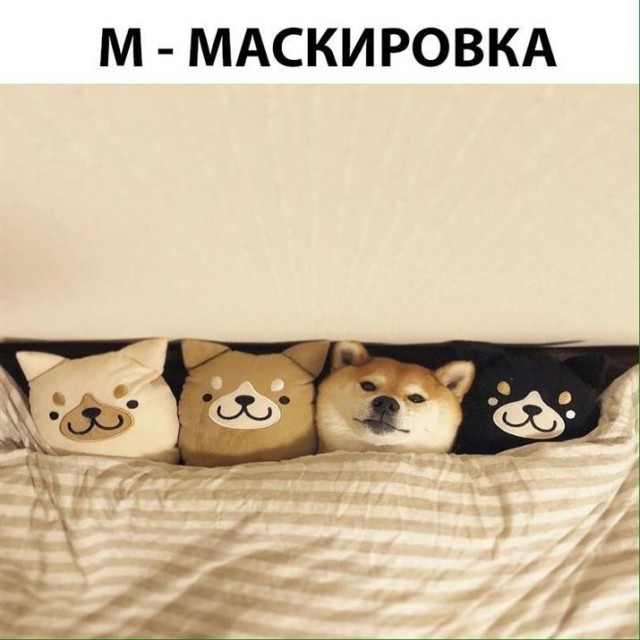 Картинки по-приколу