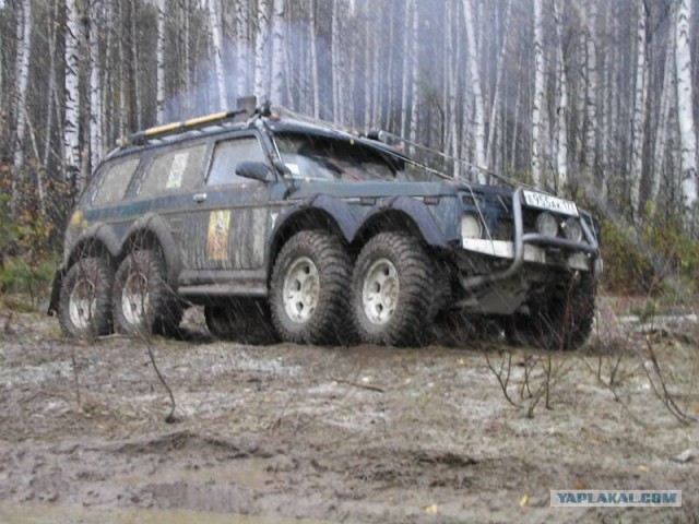Поколения Нив