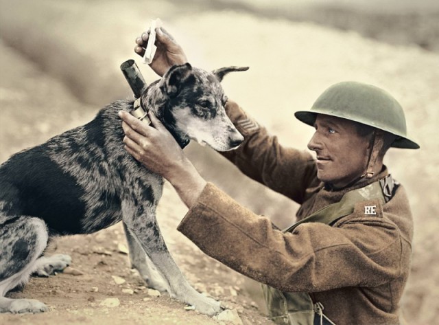 История в фотографиях