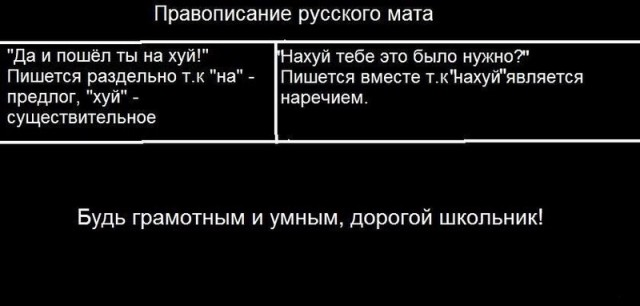 Лучшее поздравление