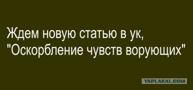 Комитет Госдумы поддержал проекты о запрете оскорбления власти в сети и фейковых новостях