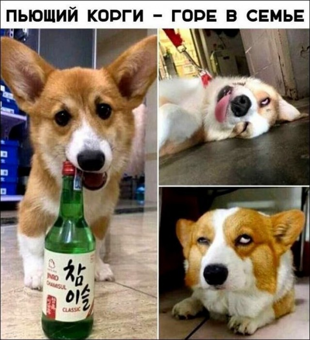 Немного картинок для настроения