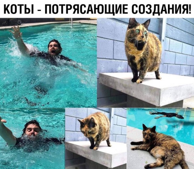 Немного картинок для настроения