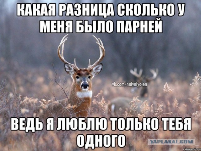 15 причин никогда не жениться