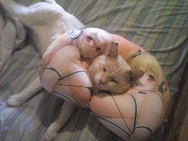 Картинки всякие