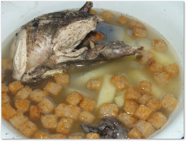 #ДРЯПнем! Перепелка с молодым горошком и соусом из морошки.