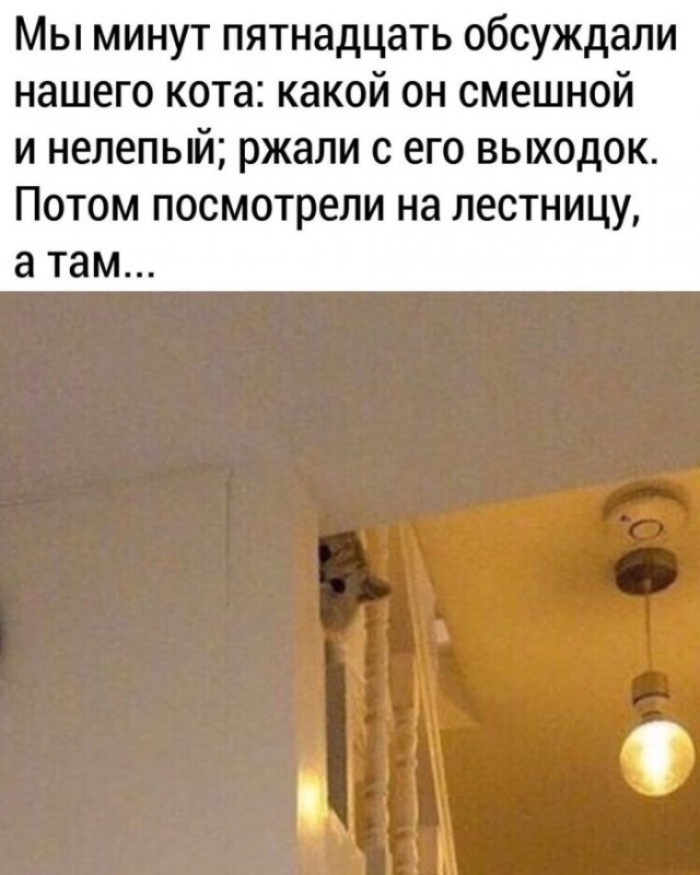 Немного картинок для настроения 25.05.20