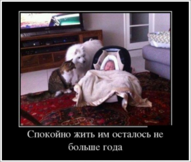 Серьёзный преподаватель для серьёзных учеников