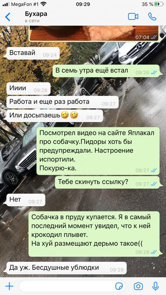 Фредди хороший мальчик! Фредди хоччет купаться!