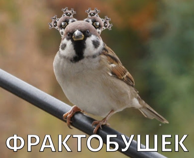 Заказ
