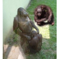 Фотожаба: Всю жизнь за решеткой