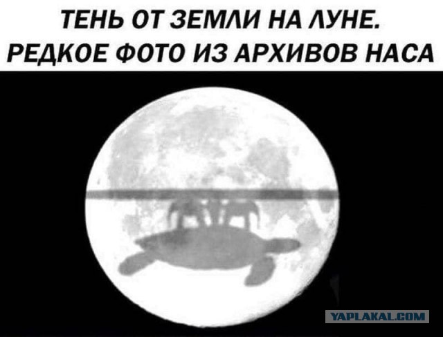Картинки с надписями и всякие жизненные фразы