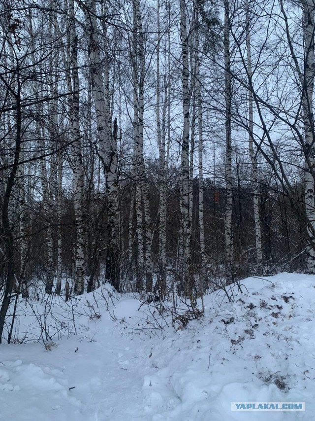 Двойные стандарты